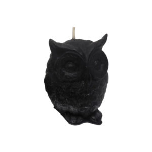 owl black color